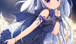 绅士动漫图,时光流转的青春记忆